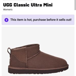 Brown Uggs Size 8